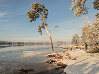 People enjoy a cold winter day at Lakes Osterseen in Iffeldorf, Bavaria, Germany, on January 14, 2024. Osterseen is a group of lakes in Bava...