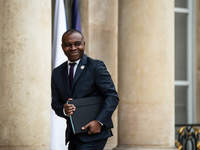 Thani Mohamed Soilihi, Secretary of State to the Minister for Europe and Foreign Affairs, with responsibility for La Francophonie and Intern...