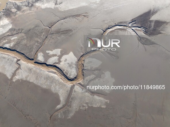 A tidal tree in the shape of a dragon tail is seen on the Yellow Sea wetland in Yancheng, China, on December 8, 2024. 