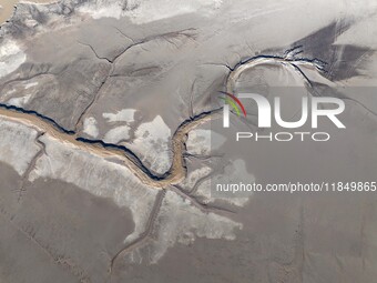 A tidal tree in the shape of a dragon tail is seen on the Yellow Sea wetland in Yancheng, China, on December 8, 2024. (