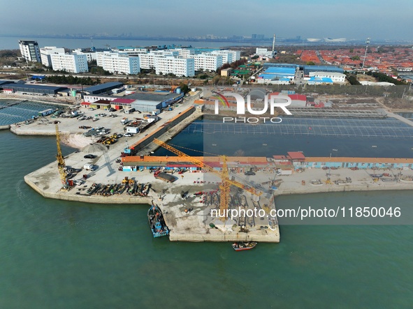 Fishermen sort oysters brought back by fishing boats at the Hongdao Suliu dock in Chengyang district of Qingdao, East China's Shandong provi...