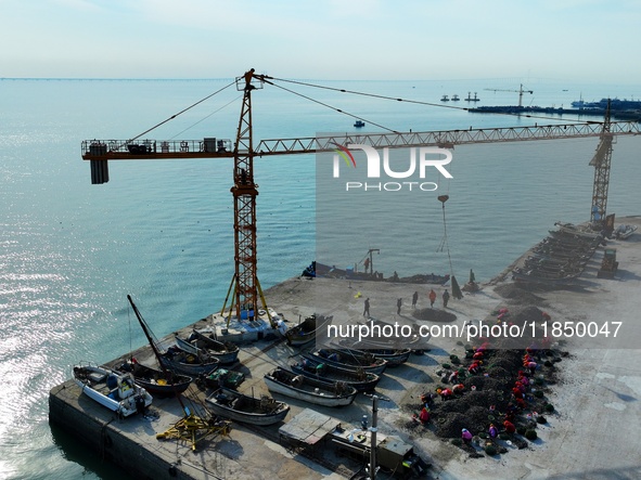 Fishermen sort oysters brought back by fishing boats at the Hongdao Suliu dock in Chengyang district of Qingdao, East China's Shandong provi...