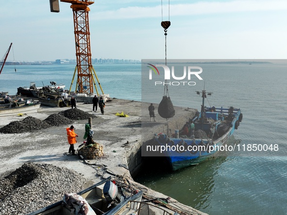 Fishermen lift oysters from a boat to land at the Hongdao Suliu dock in Chengyang district of Qingdao, East China, on December 9, 2024. 