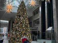 People pose for a photo by a large Christmas tree decorated in Toronto, Ontario, Canada, on December 8, 2024. (