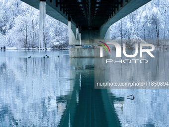 In Füssen, Bavaria, Germany, on January 13, 2024, the River Lech flows gently beneath a frosted bridge, reflecting the snowy Allgäu Alps. Th...