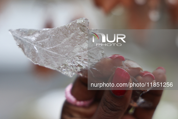 A woman holds a thin layer of ice that covers an oak leaf as freezing rain coats surfaces with a sheet of ice in Toronto, Ontario, Canada, o...