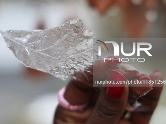 A woman holds a thin layer of ice that covers an oak leaf as freezing rain coats surfaces with a sheet of ice in Toronto, Ontario, Canada, o...