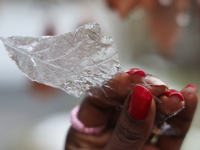 A woman holds a thin layer of ice that covers an oak leaf as freezing rain coats surfaces with a sheet of ice in Toronto, Ontario, Canada, o...