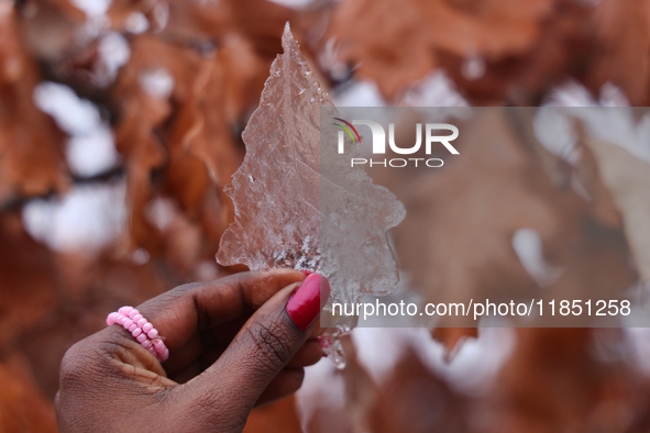 A woman holds a thin layer of ice that covers an oak leaf as freezing rain coats surfaces with a sheet of ice in Toronto, Ontario, Canada, o...