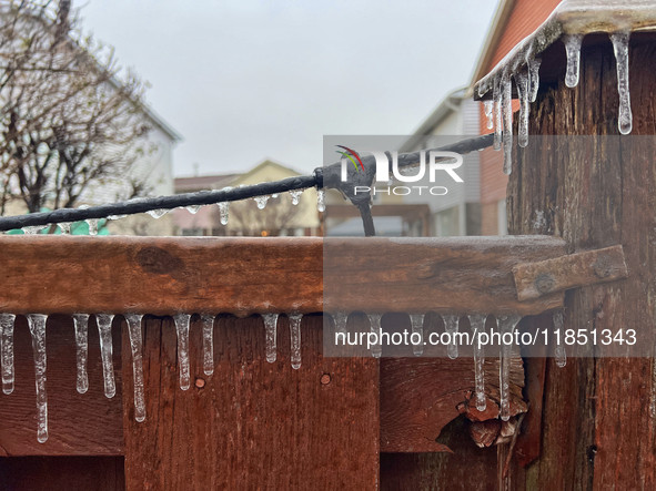 Icicles hang from a wooden fence as freezing rain coats surfaces with a sheet of ice in Toronto, Ontario, Canada, on December 9, 2024. 