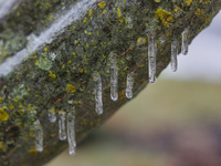 A thin sheet of ice covers tree branches as freezing rain causes surfaces to be coated with a sheet of ice in Toronto, Ontario, Canada, on D...