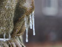 Icicles cover a burlap sheet that covers a tree as freezing rain causes surfaces to be coated with a sheet of ice in Toronto, Ontario, Canad...