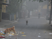 A rag picker searches for plastic bottles and other recyclable items in Siliguri, India, on December 10, 2024. (