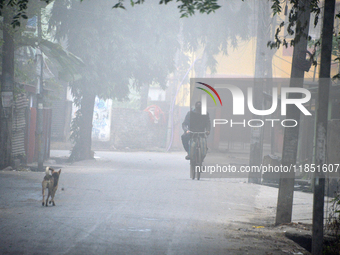 A newspaper delivery man delivers newspapers to houses on a cold and foggy day in Siliguri, India, on December 10, 2024. (