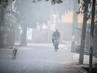 A newspaper delivery man delivers newspapers to houses on a cold and foggy day in Siliguri, India, on December 10, 2024. (