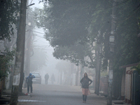 People travel to work and students go to school on a cold and foggy day in Siliguri, India, on December 10, 2024. (