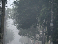 People travel to work and students go to school on a cold and foggy day in Siliguri, India, on December 10, 2024. (