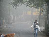 A rag picker searches for plastic bottles and other recyclable items in Siliguri, India, on December 10, 2024. (