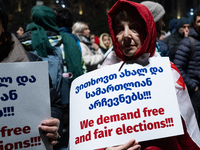 An anti-government demonstrator holds a placard reading ''We demand free and fair elections!!!'' during a protest in front of the parliament...