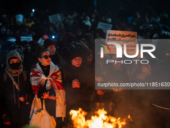 An anti-government demonstrator holds a placard reading ''EU & USA Sanction Georgian dream !!!'' during a protest in front of the parliament...