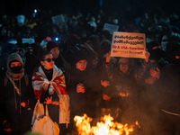 An anti-government demonstrator holds a placard reading ''EU & USA Sanction Georgian dream !!!'' during a protest in front of the parliament...