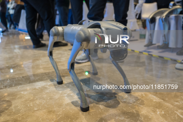 A robot dog is seen at the 2024 Global Artificial Intelligence Product Application Expo in Suzhou, China, on December 10, 2024. 