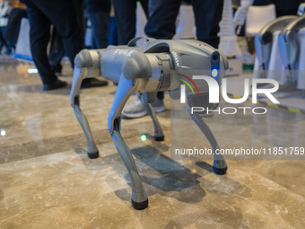 A robot dog is seen at the 2024 Global Artificial Intelligence Product Application Expo in Suzhou, China, on December 10, 2024. (