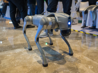 A robot dog is seen at the 2024 Global Artificial Intelligence Product Application Expo in Suzhou, China, on December 10, 2024. (