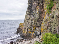 Jons Kapel rock bluff is seen near Hasle, Bornholm Island, Denmark, on August 5, 2024 (