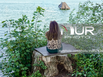 A woman sits alone on a tree stump surrounded by lush green plants, gazing out over the calm waters of the lake at Starnberger See in Starnb...