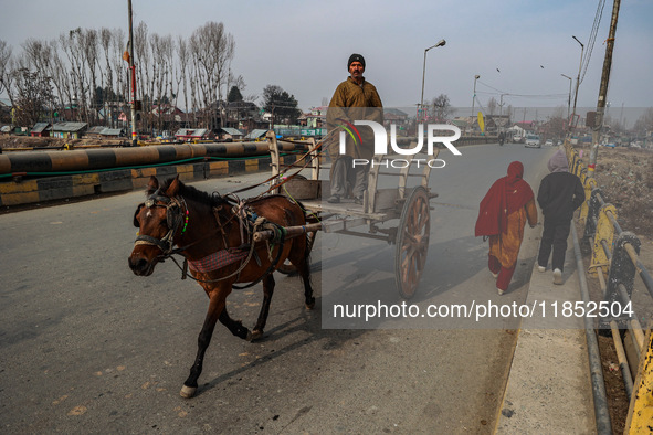 A man rides a horse-drawn carriage early in the morning on a cold day in Sopore, Jammu and Kashmir, India, on December 10, 2024. 