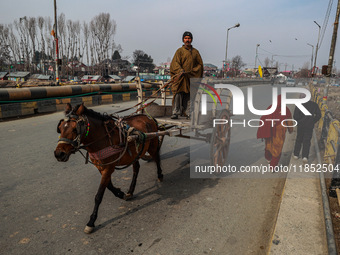 A man rides a horse-drawn carriage early in the morning on a cold day in Sopore, Jammu and Kashmir, India, on December 10, 2024. (