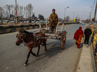 A man rides a horse-drawn carriage early in the morning on a cold day in Sopore, Jammu and Kashmir, India, on December 10, 2024. (