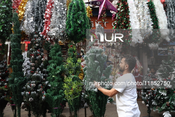 A vendor arranges a Christmas tree for sale at a Christmas Market in Kolkata, India, on December 10, 2024. 