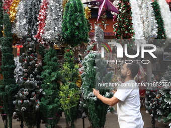 A vendor arranges a Christmas tree for sale at a Christmas Market in Kolkata, India, on December 10, 2024. (