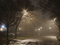 Fog causes near-zero visibility and blankets Toronto, Ontario, Canada, on December 09, 2024. (