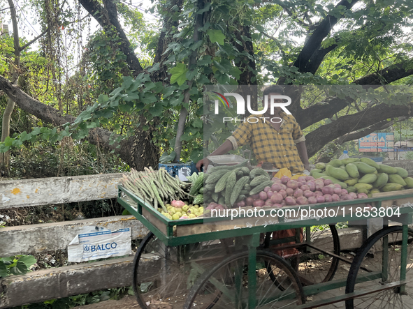 A man sells vegetables from a small cart along the roadside in Panamkuttymala, Punalur, Kollam, Kerala, India, on April 4, 2024. 