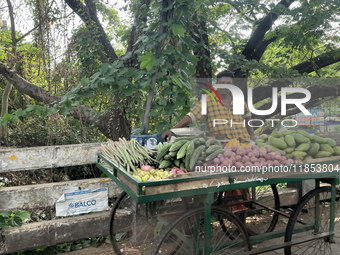 A man sells vegetables from a small cart along the roadside in Panamkuttymala, Punalur, Kollam, Kerala, India, on April 4, 2024. (