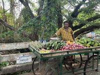 A man sells vegetables from a small cart along the roadside in Panamkuttymala, Punalur, Kollam, Kerala, India, on April 4, 2024. (