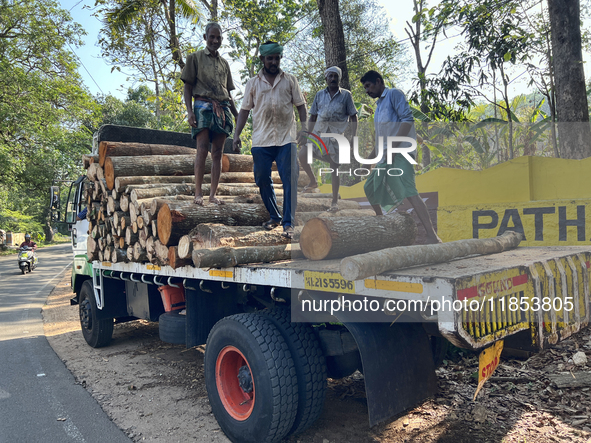 Workers load logs from rubber trees onto a truck to be transported to a mill and made into plywood in Pathanapuram, Kollam, Kerala, India, o...