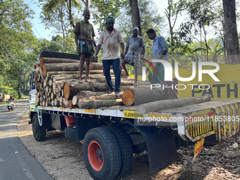 Workers load logs from rubber trees onto a truck to be transported to a mill and made into plywood in Pathanapuram, Kollam, Kerala, India, o...