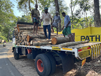 Workers load logs from rubber trees onto a truck to be transported to a mill and made into plywood in Pathanapuram, Kollam, Kerala, India, o...