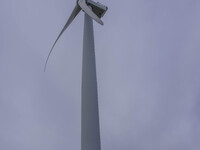 Wind turbines are seen in Esbjerg, Denmark, on April 28, 2024 (