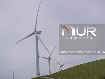 Wind turbines are seen in Esbjerg, Denmark, on April 28, 2024 (