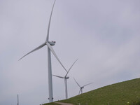 Wind turbines are seen in Esbjerg, Denmark, on April 28, 2024 (