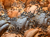 KRAKOW, POLAND - DECEMBER 10:   
An assortment of croissants displayed in a pastry shop in Krakow's Old Town, on December 10, 2024 in Krakow...