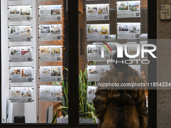 KRAKOW, POLAND - DECEMBER 10:   
A woman looks at a window displaying advertisements for properties at a local real estate office in the his...