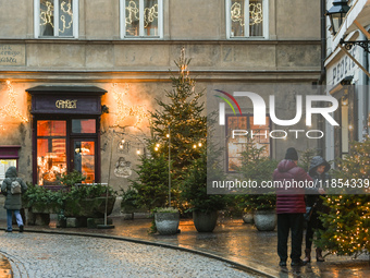 KRAKOW, POLAND - DECEMBER 10:   
A view of Christmas trees and festive decorations outside Camelot Cafe in Krakow’s UNESCO-listed Old Town,...