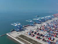 Large cargo ships are loaded at Qinzhou Automated Container Terminal in Beiwan Port, South China's Guangxi Zhuang Autonomous Region, on Dece...