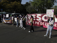 Victims of sexual and digital violence demonstrate outside the National Polytechnic Institute in Mexico City, Mexico, on December 10, 2024,...